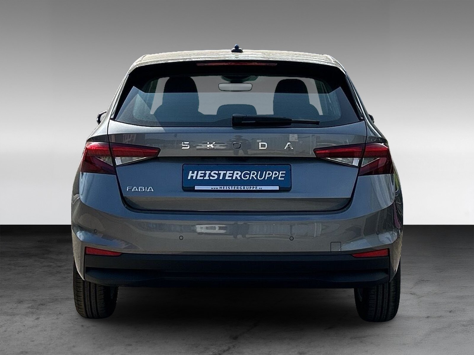 Skoda Fabia 1.0 TSI Selection OPF+ChromPaket+WinterPaket